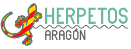 Herpetos Aragón - Los anfibios y reptiles de Aragón